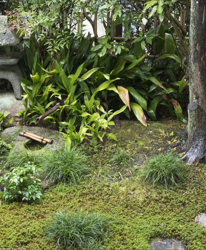 Kyoto, Japan